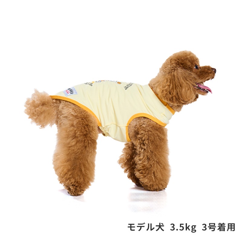 スポーツシロクマタンク