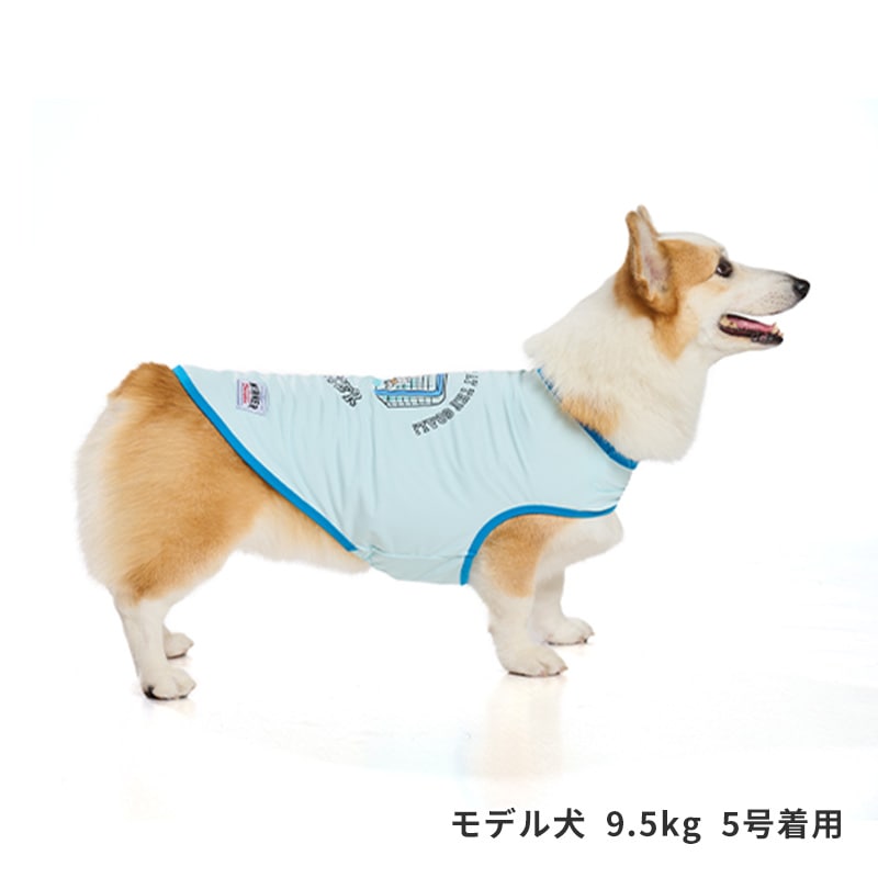 スポーツシロクマタンク