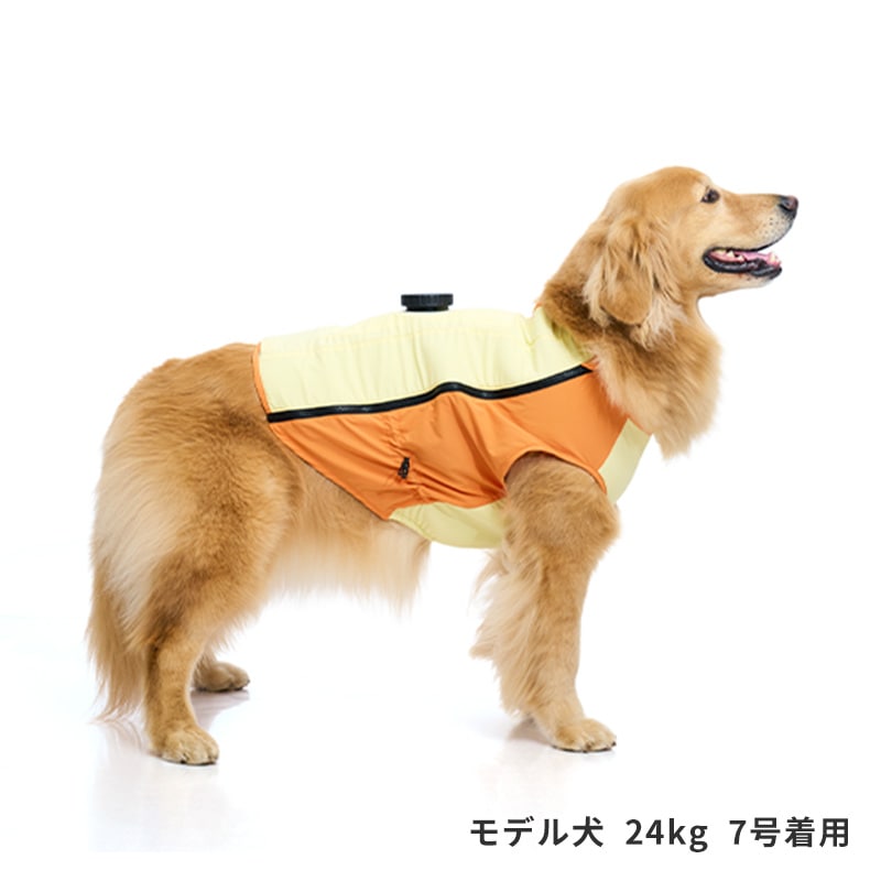 アイスパックCOOLINGベスト | ALL（全ての商品） | LIFE LIKE 【犬服