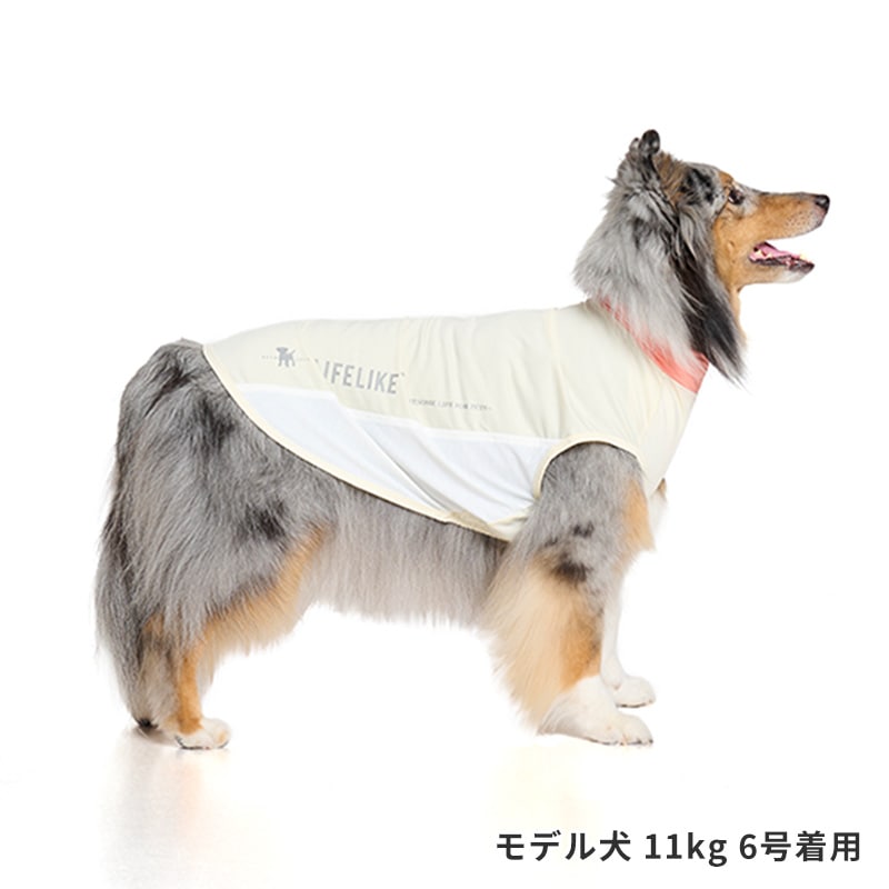 COOLフィットタンク