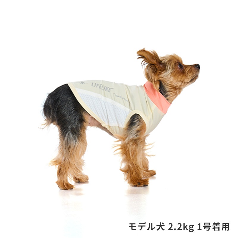 COOLフィットタンク