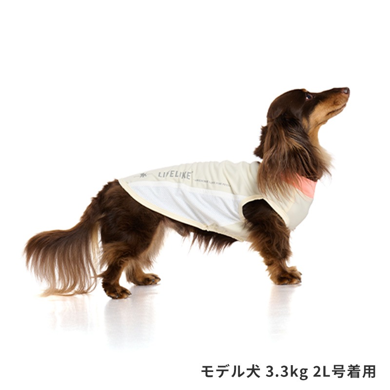 COOLフィットタンク