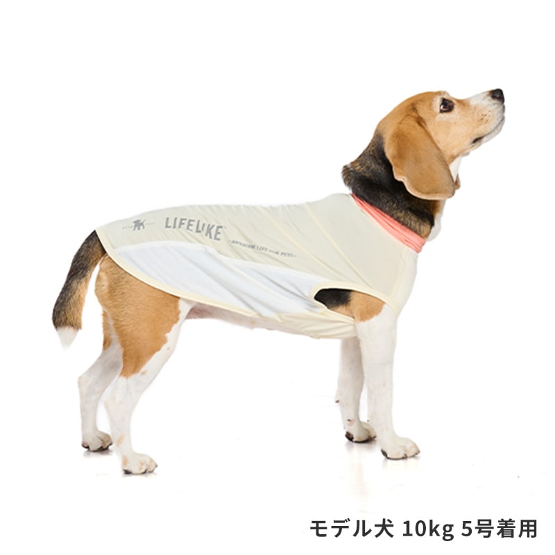 COOLフィットタンク