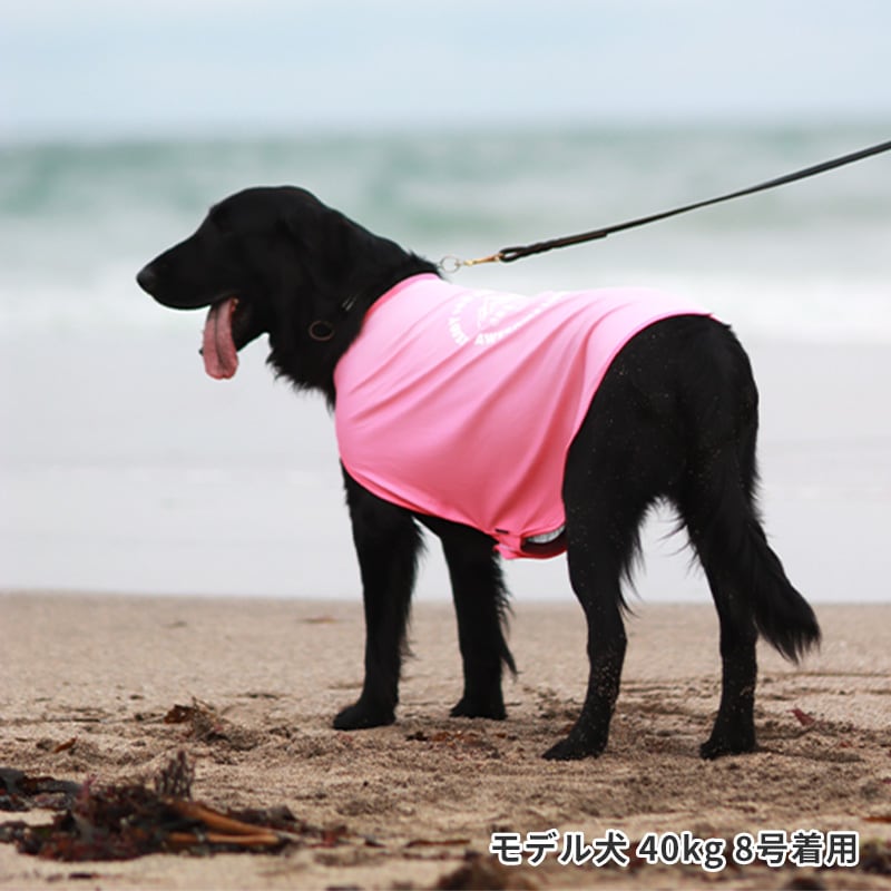 COOLINGカラーチェンジポンチョ