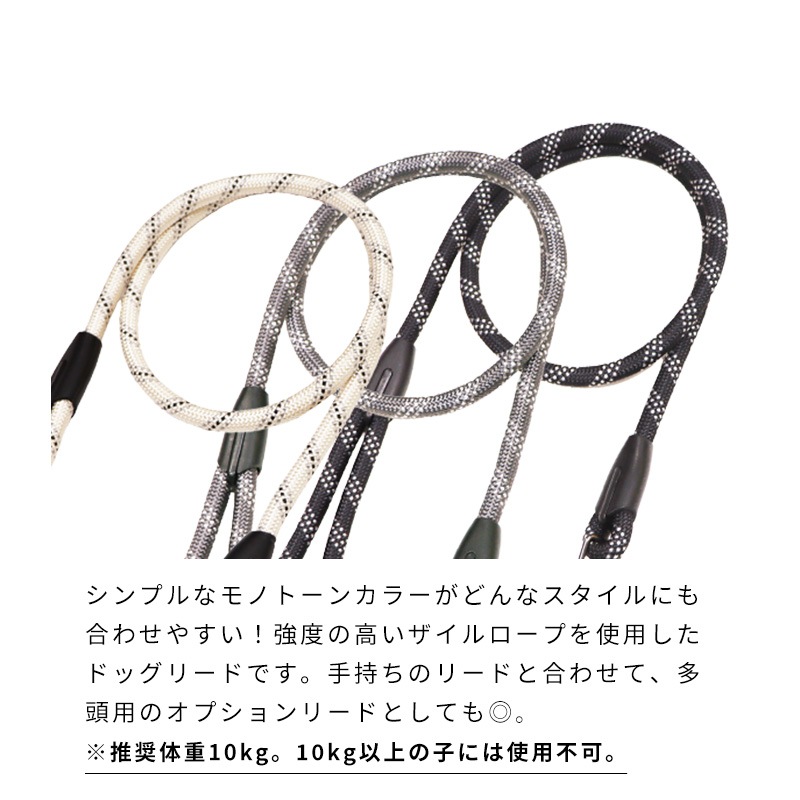 シングルロープリード