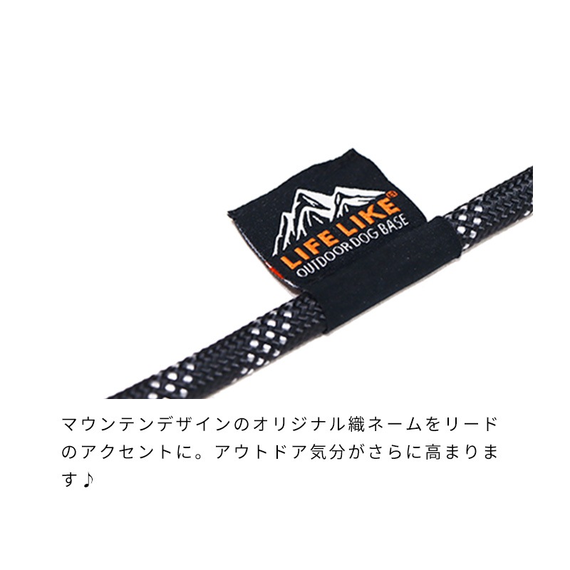 シングルロープリード