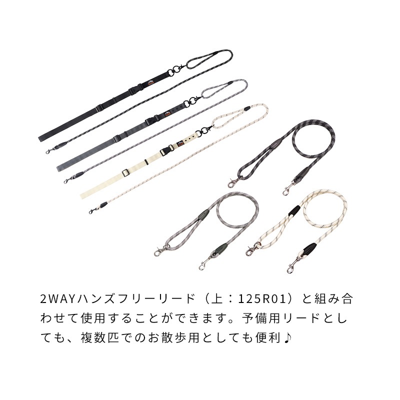 シングルロープリード