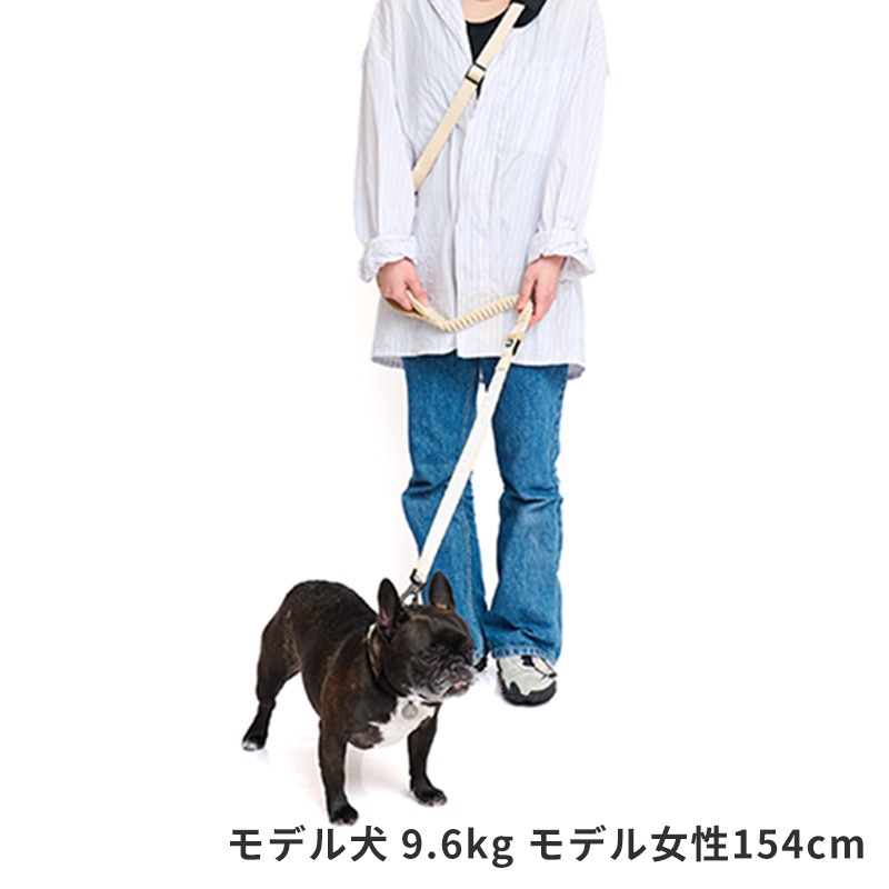 ナイトウォークハンズフリーリード