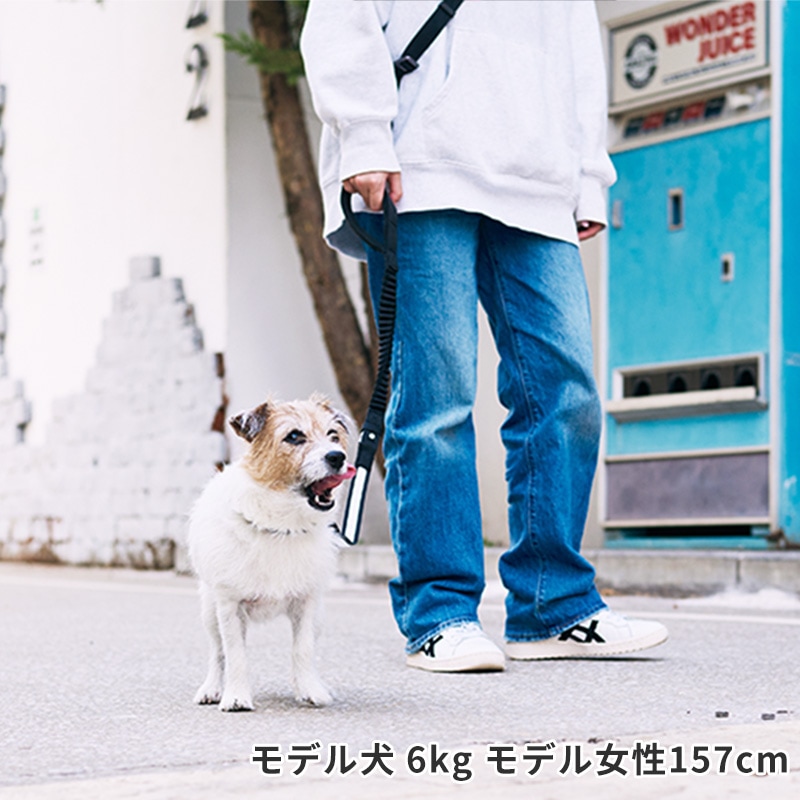 ナイトウォークハンズフリーリード