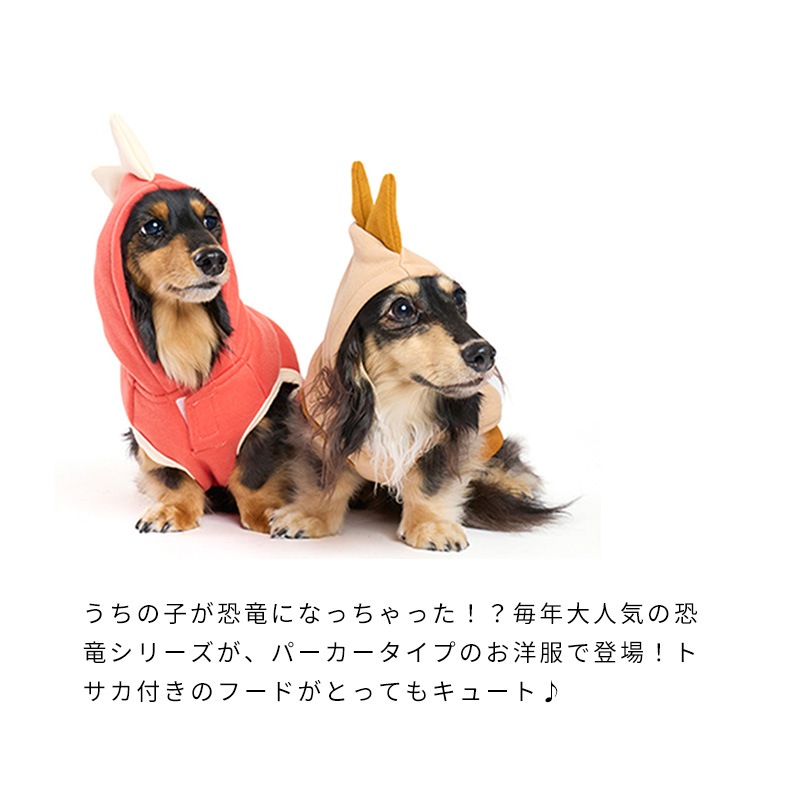 恐竜なりきりフーディー