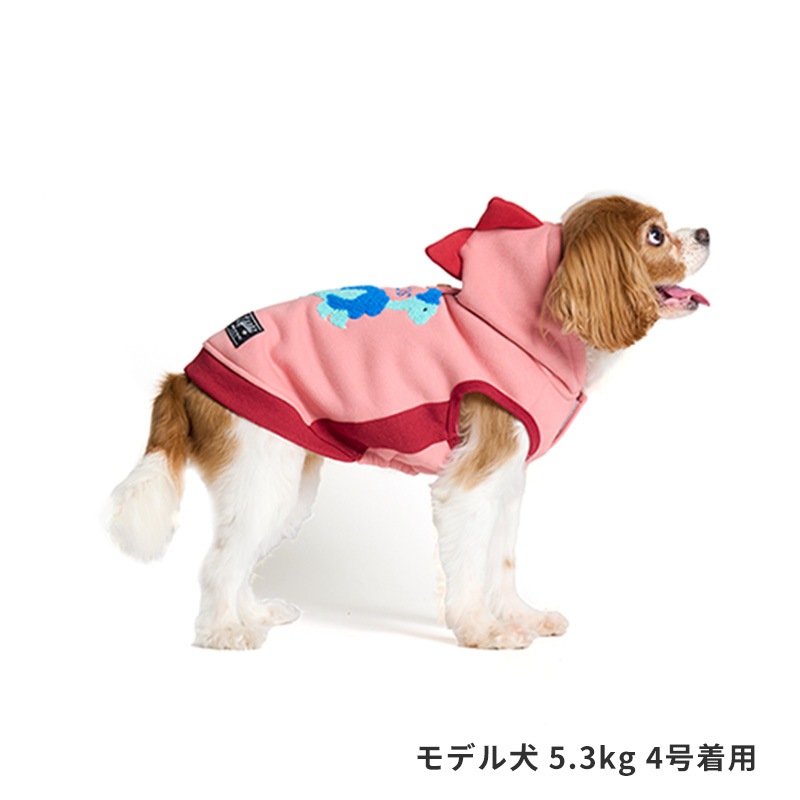 恐竜なりきりフーディー