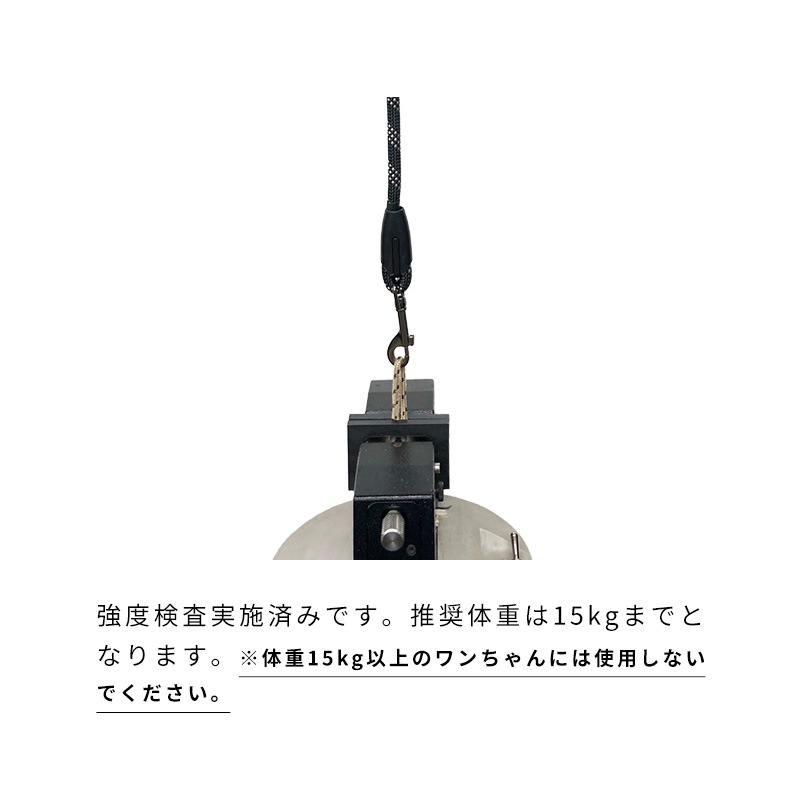 ２WAYライトハンズフリーリード