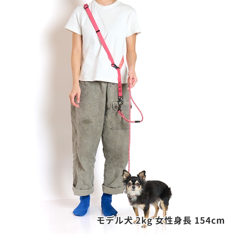 ２WAYライトハンズフリーリード