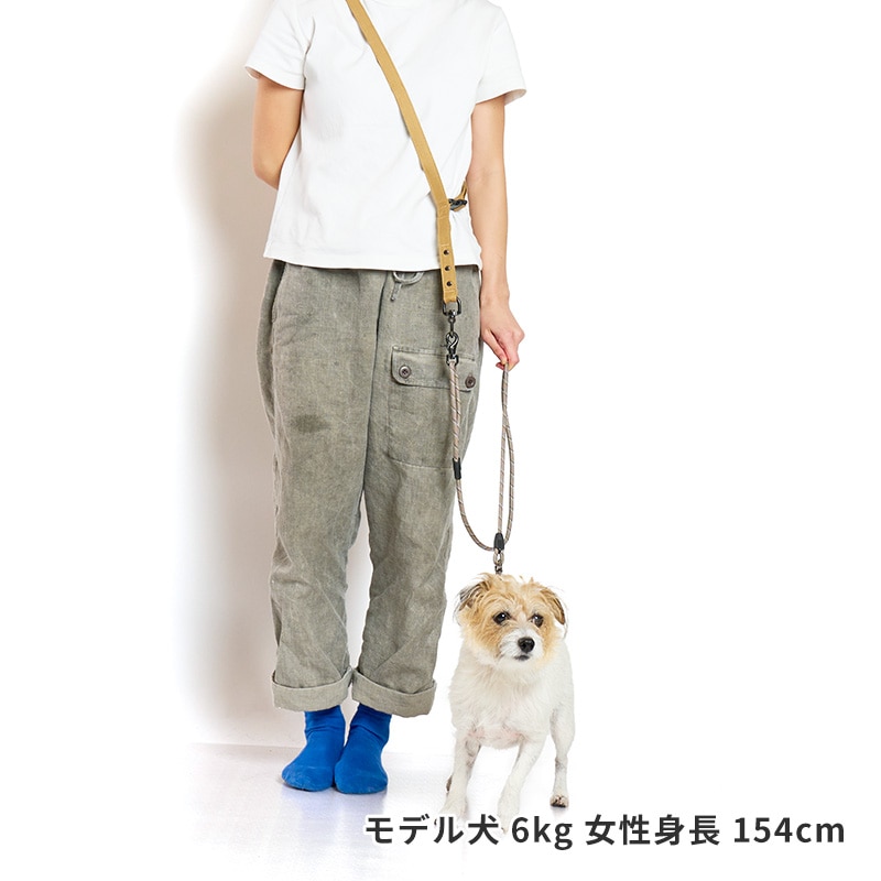 ２WAYライトハンズフリーリード