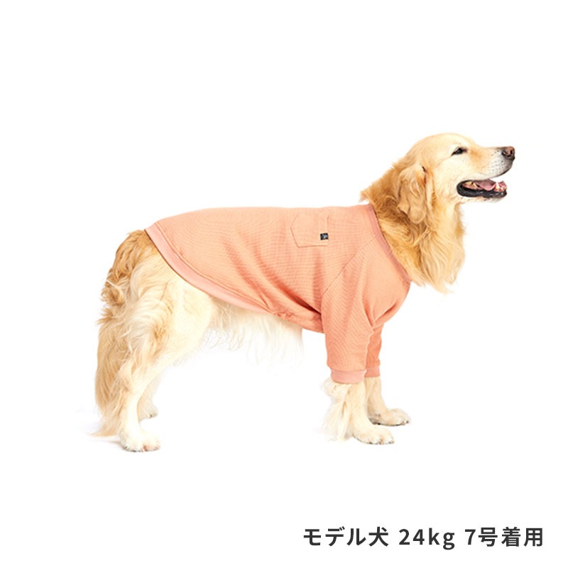 デイリーサーマルトップ