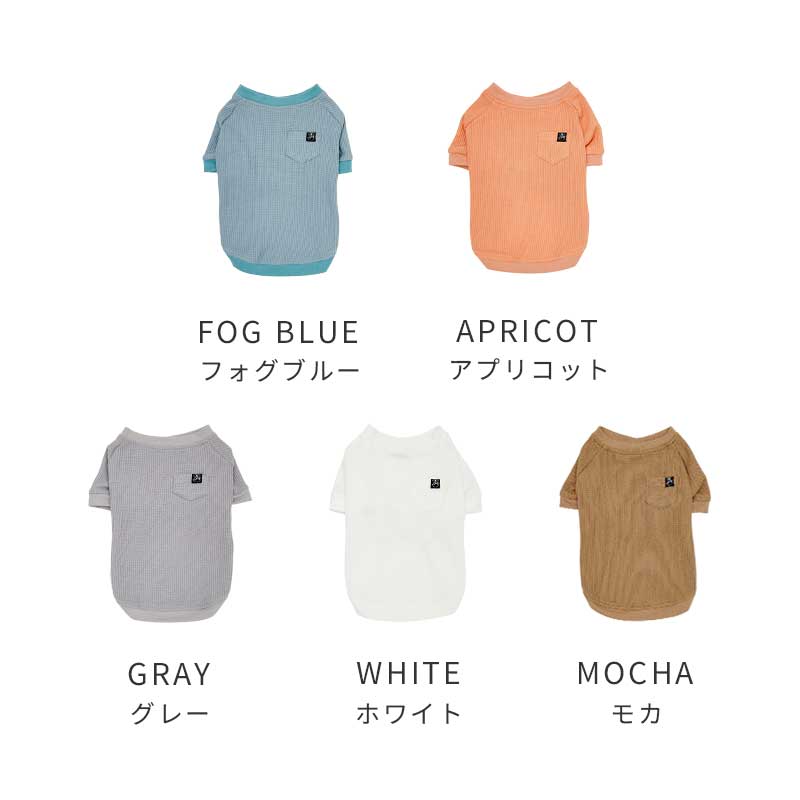 デイリーサーマルトップ