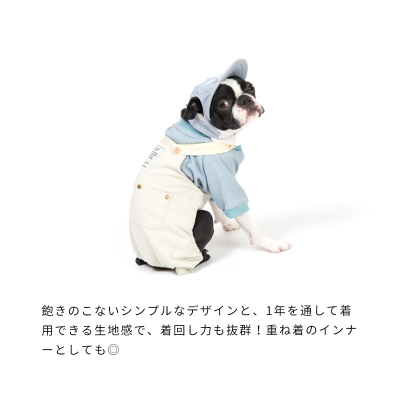 デイリーサーマルトップ