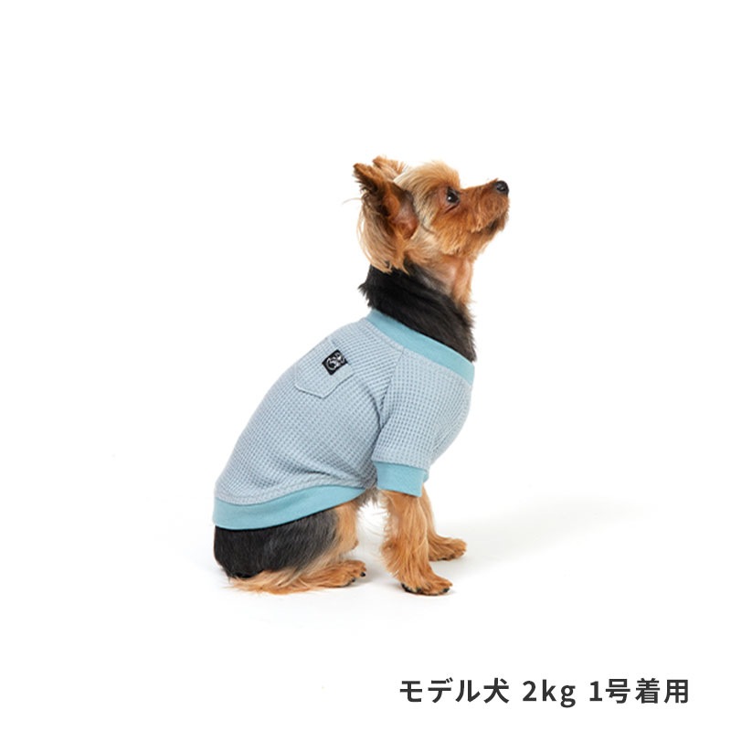 デイリーサーマルトップ