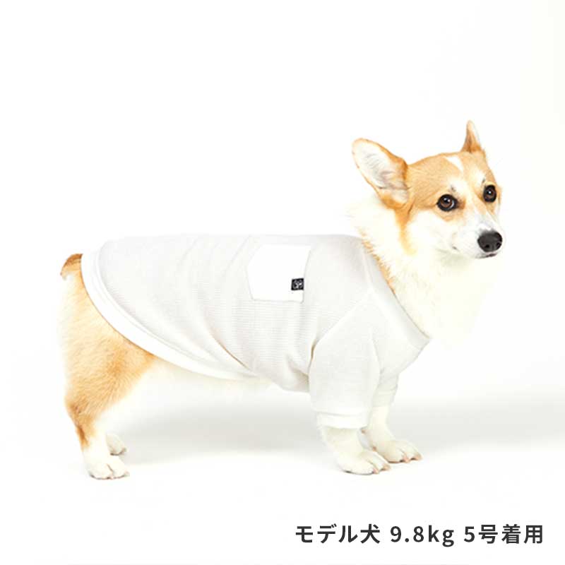 デイリーサーマルトップ