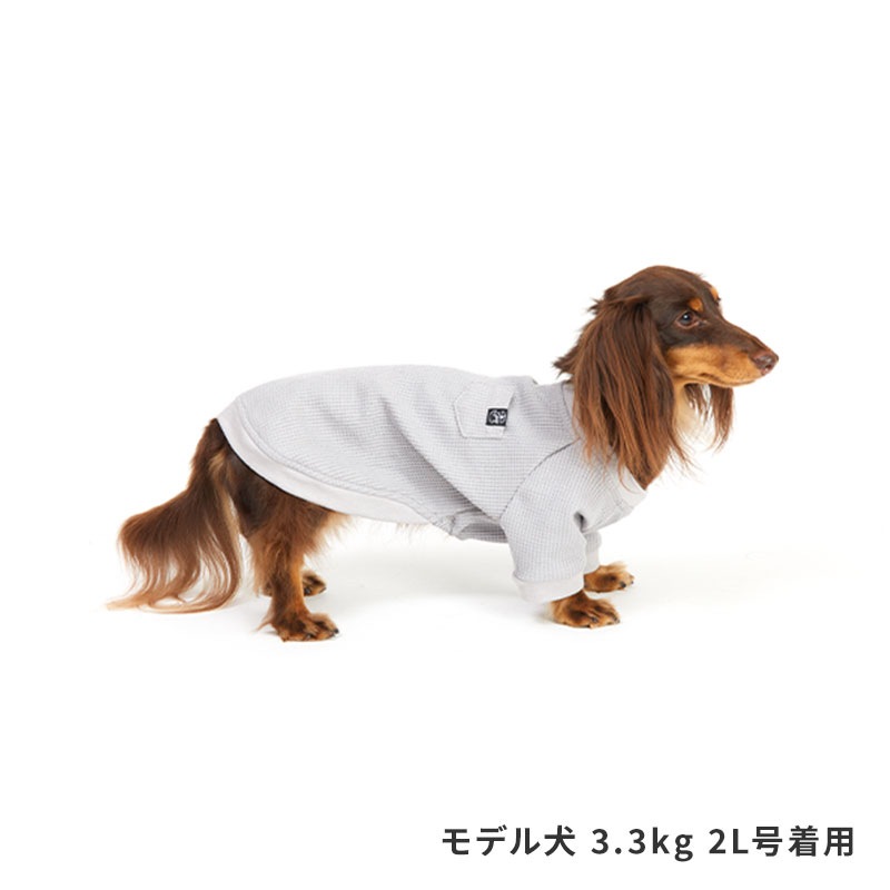 デイリーサーマルトップ