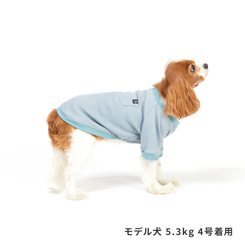 デイリーサーマルトップ