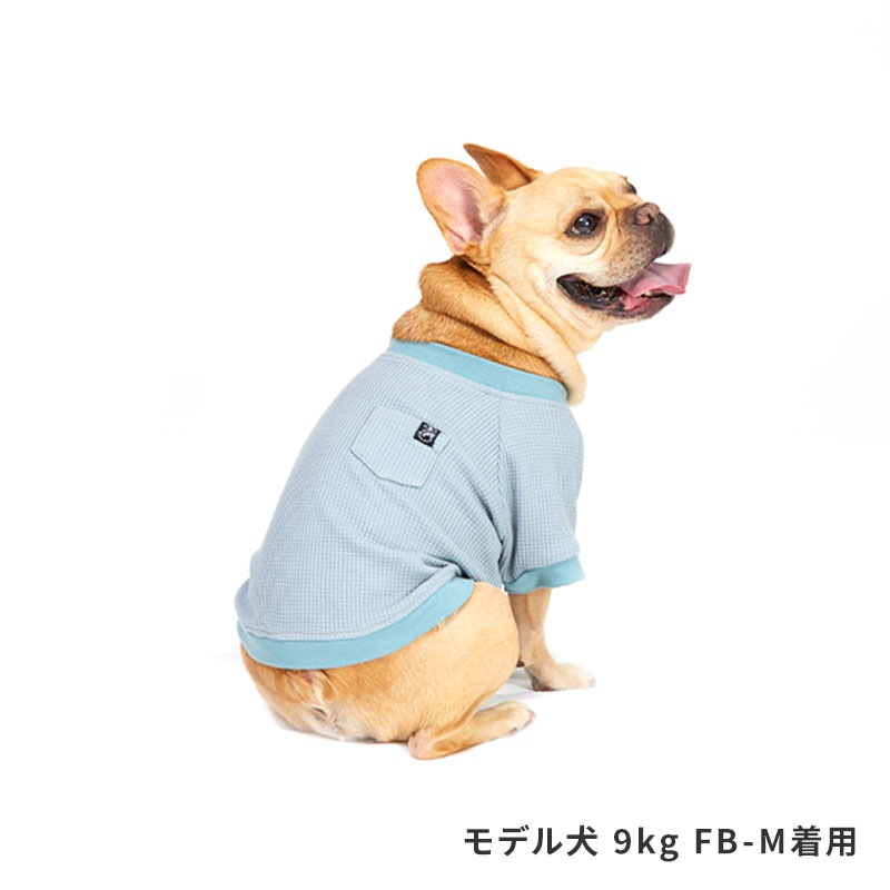 デイリーサーマルトップ