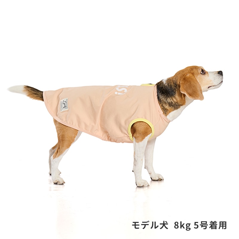 サンカラーチェンジロゴタンク