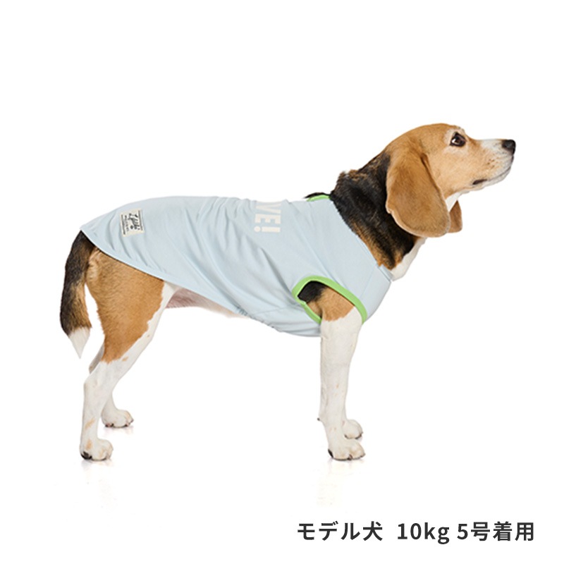 サンカラーチェンジロゴタンク