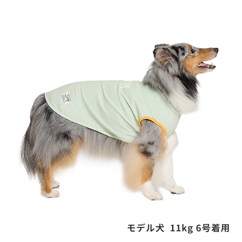 サンカラーチェンジロゴタンク