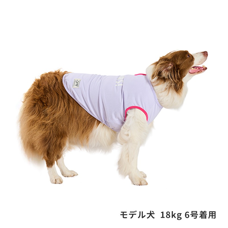 サンカラーチェンジロゴタンク