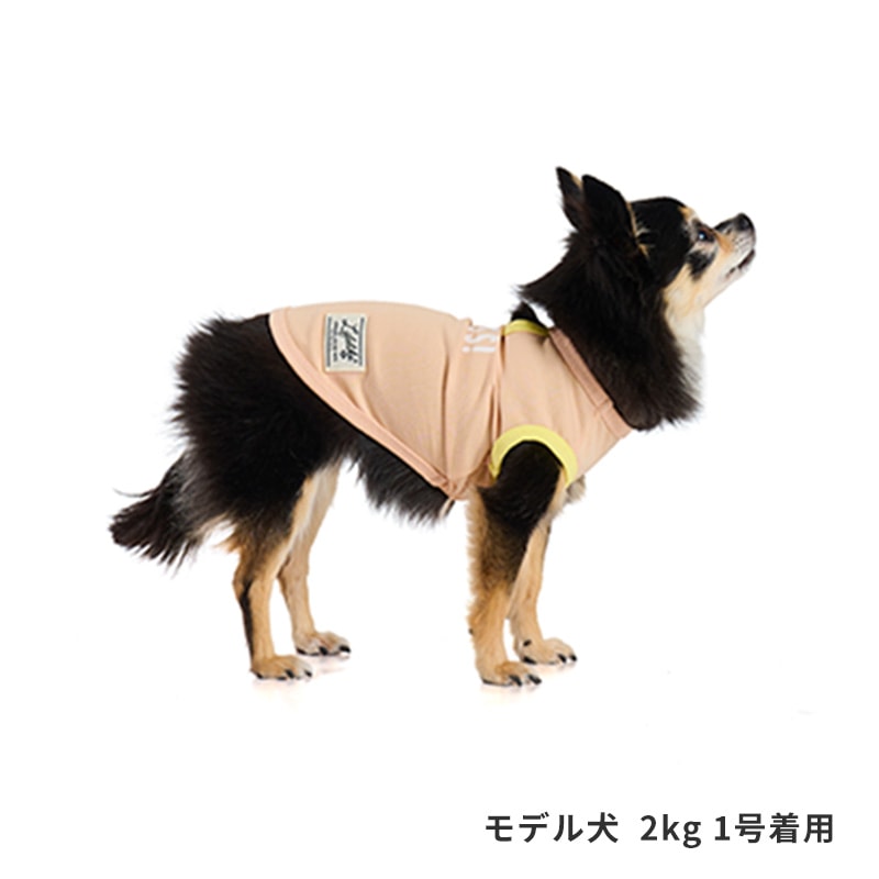 サンカラーチェンジロゴタンク