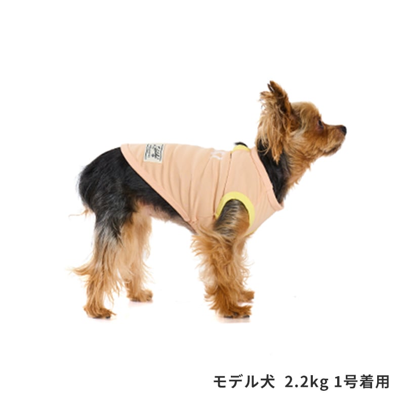 サンカラーチェンジロゴタンク