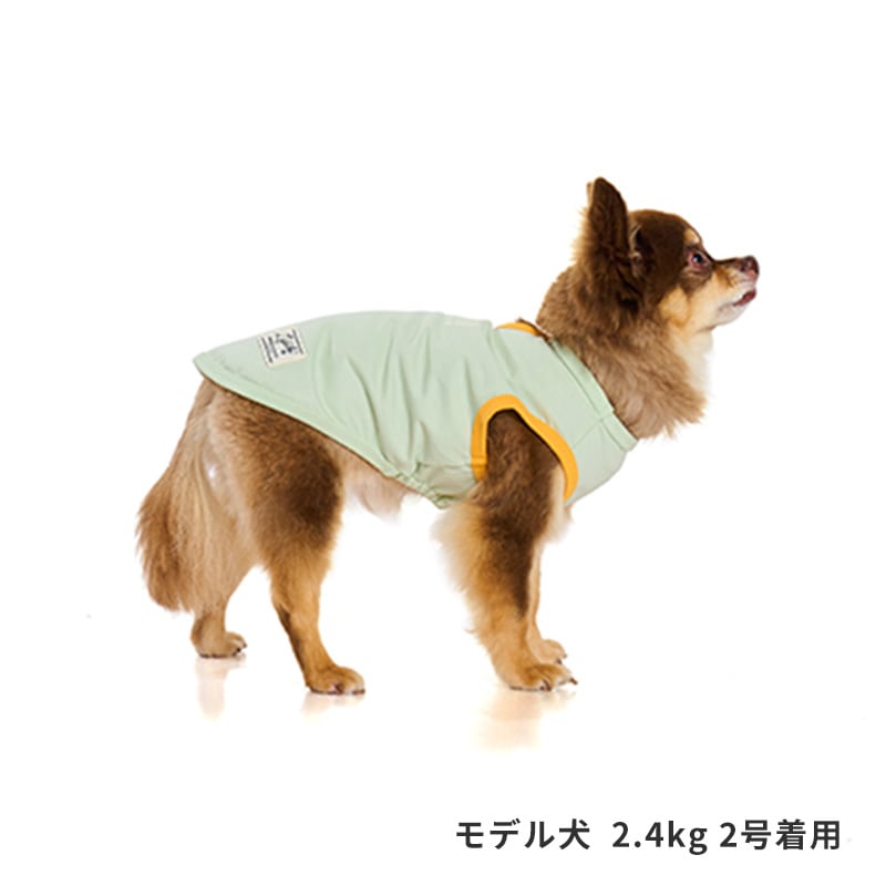 サンカラーチェンジロゴタンク