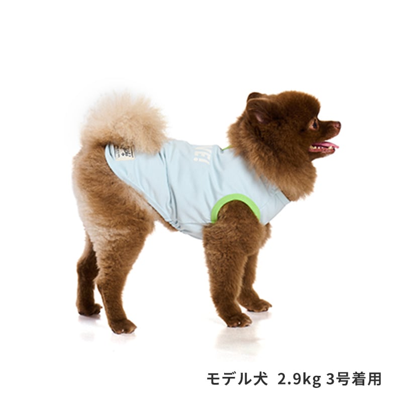 サンカラーチェンジロゴタンク