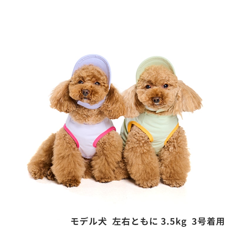 サンカラーチェンジロゴタンク