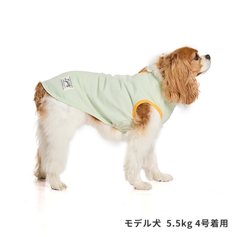 サンカラーチェンジロゴタンク