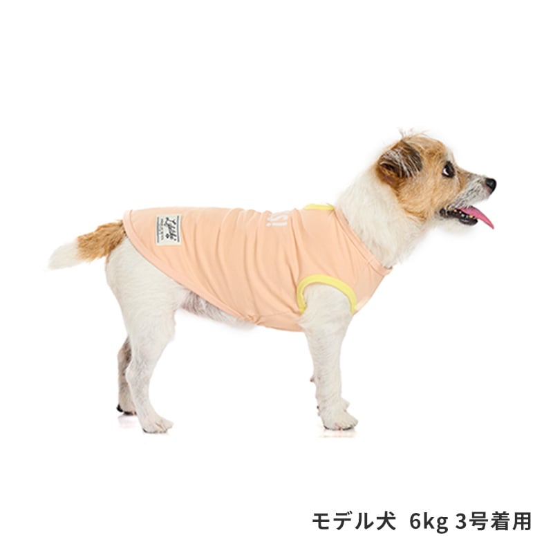 サンカラーチェンジロゴタンク