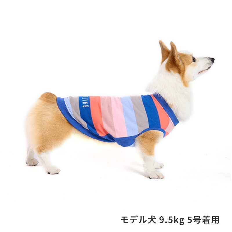 マルチボーダートレーナー