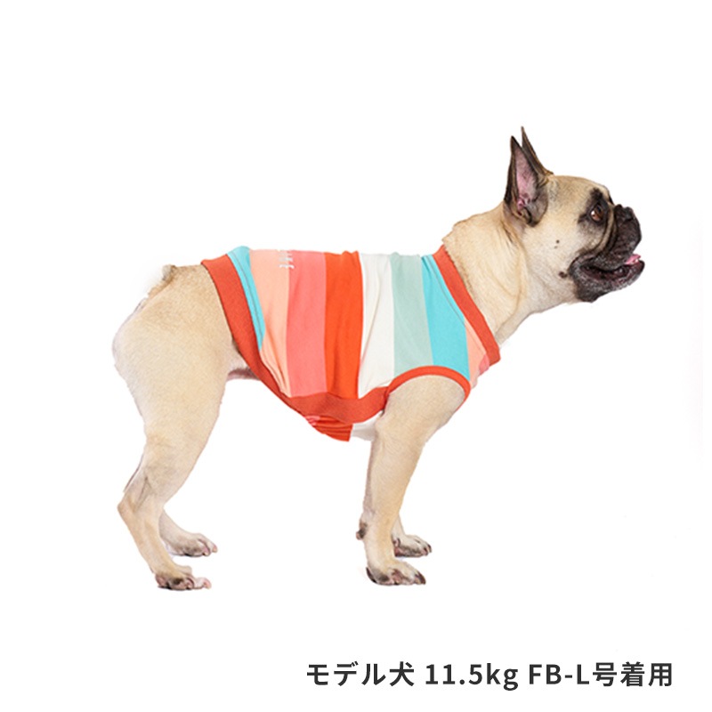 マルチボーダートレーナー