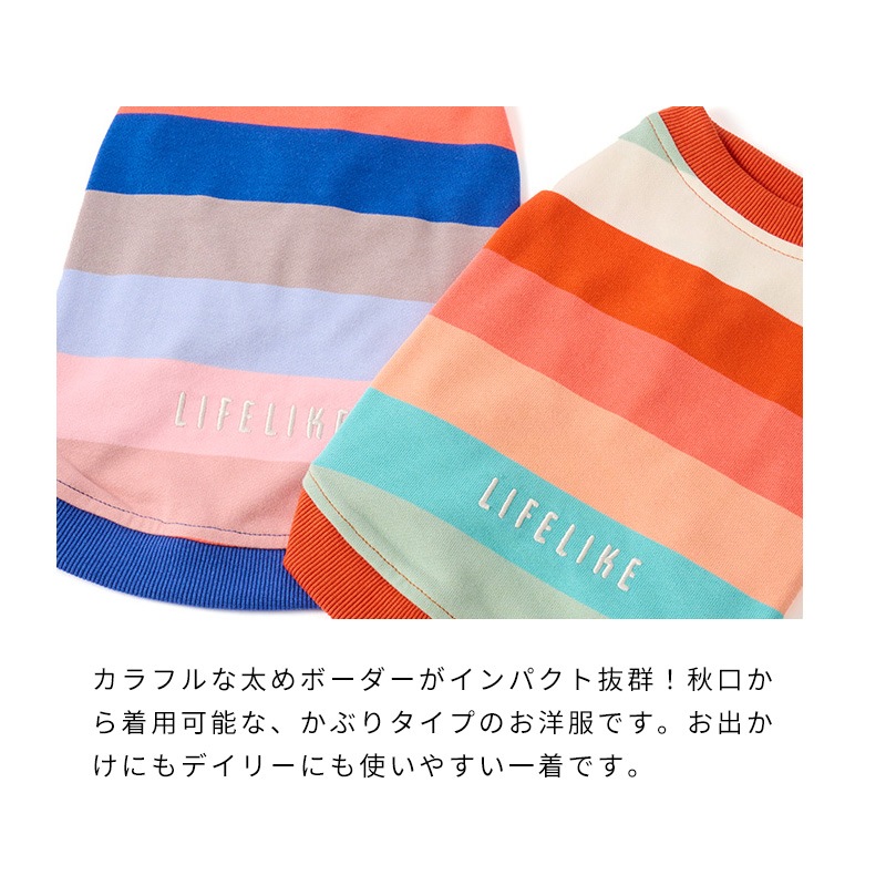 マルチボーダートレーナー