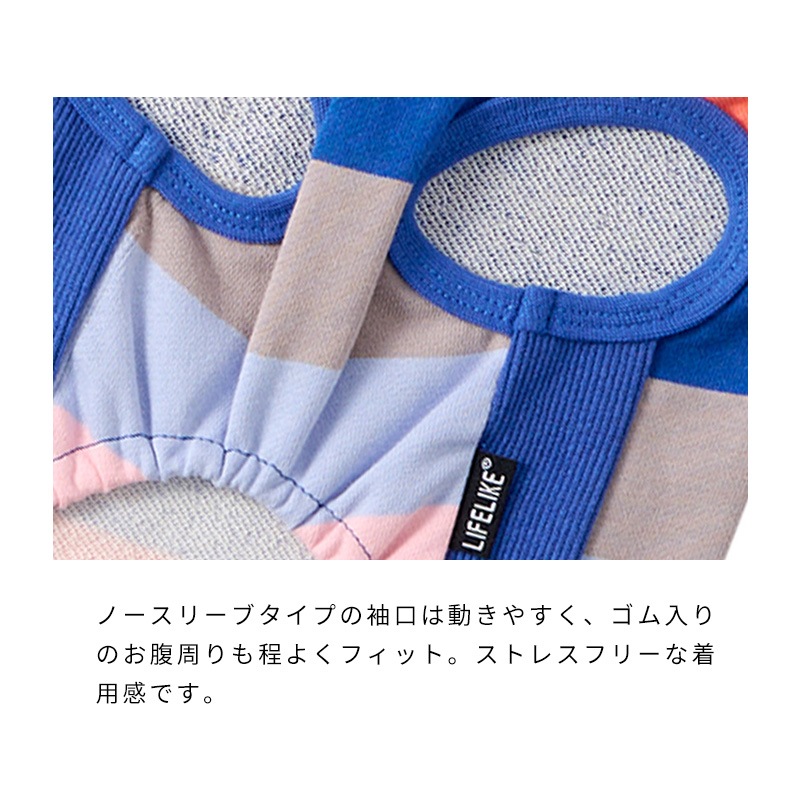 マルチボーダートレーナー