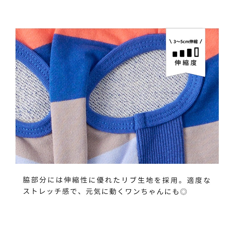 マルチボーダートレーナー