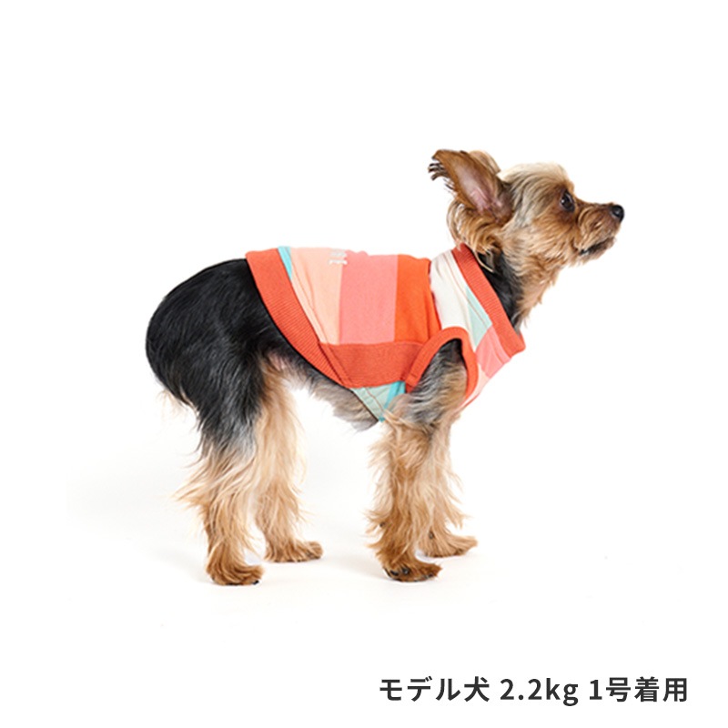 マルチボーダートレーナー