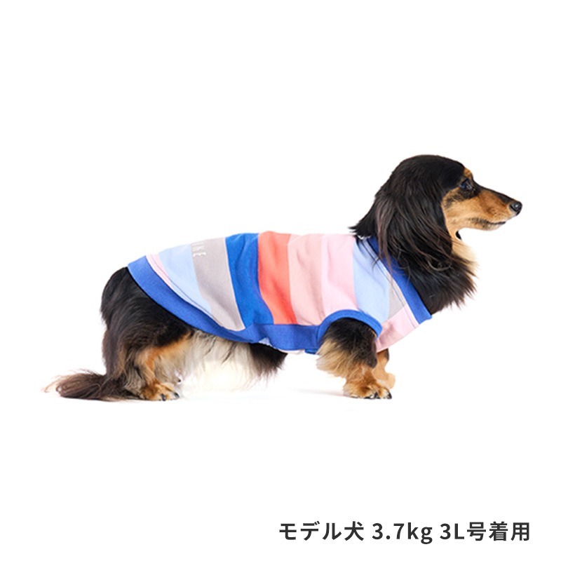 マルチボーダートレーナー