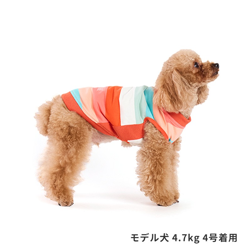 マルチボーダートレーナー