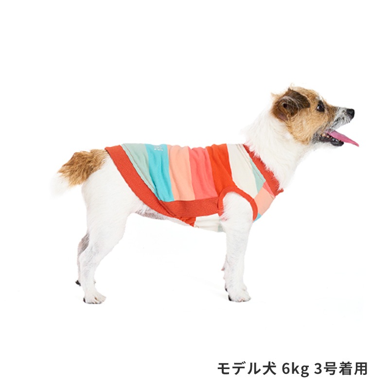 マルチボーダートレーナー