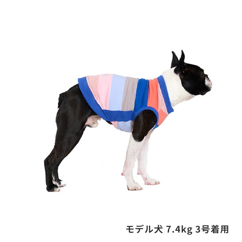 マルチボーダートレーナー