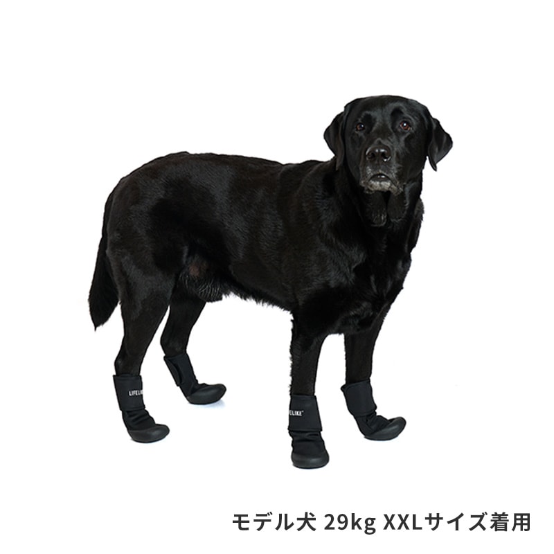 ダブルストラップシューズ | Others（その他）,ソックス・シューズ