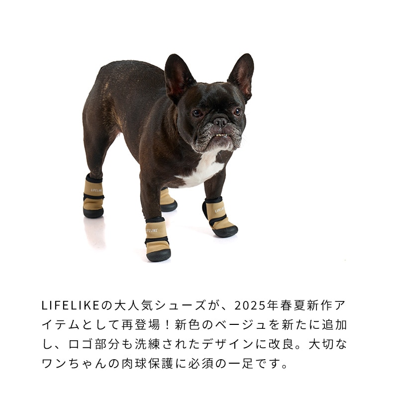 ダブルストラップシューズ