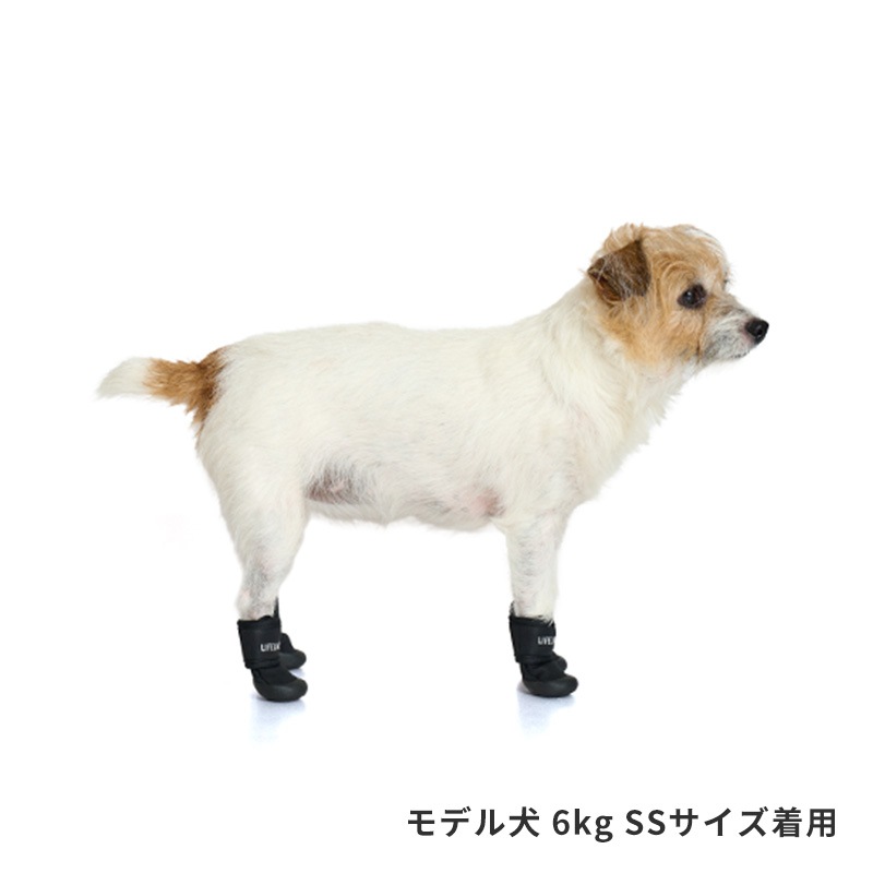 ダブルストラップシューズ | Others（その他）,ソックス・シューズ